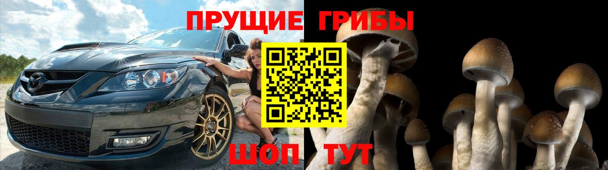 Псилоцибиновые грибы Psilocybine cubensis  где продают наркотики  Омск  Вход с VPN 